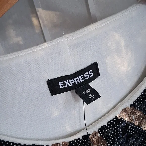Expresss Sequined Dress